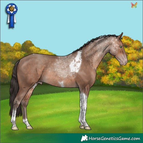 Horse Color:Sable Champagne Tobiano Rabicano 