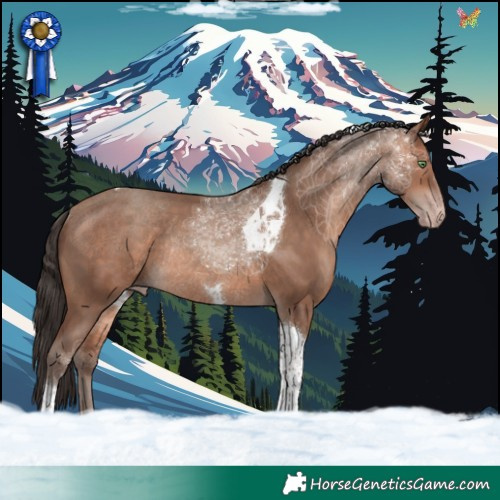 Horse Color:Sable Champagne Tobiano Rabicano 