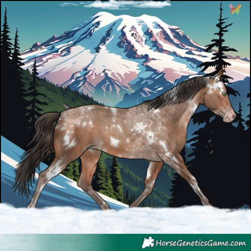 Horse Color:White Spotted Amber Champagne 