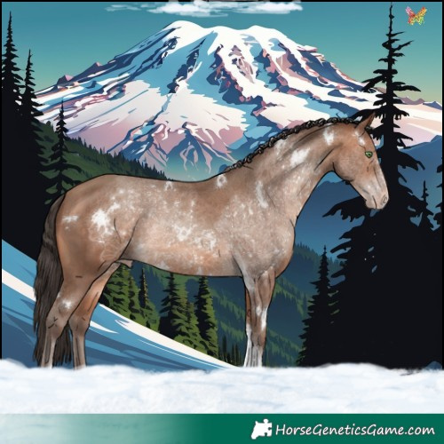 Horse Color:White Spotted Sable Champagne Tobiano 