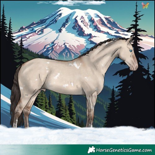 Horse Color:White Spotted Sable Champagne Dun Tobiano Rabicano 