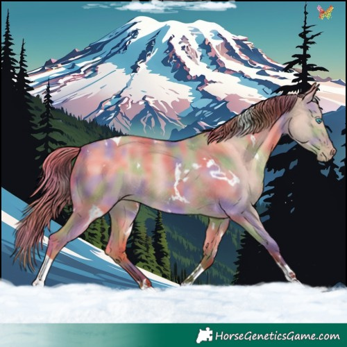 Horse Color:Nacre White Spotted Amber Champagne Dun Tobiano 