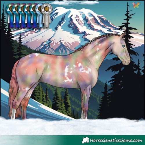 Horse Color:Nacre White Spotted Amber Champagne Dun Tobiano 