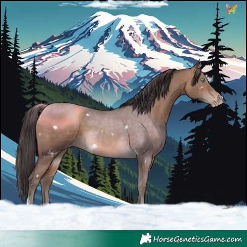 Horse Color:White Spotted Sable Champagne Tobiano Rabicano 