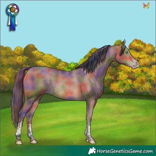 Horse Color:Nacre Sable Champagne Tobiano Rabicano 