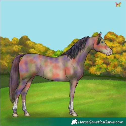 Horse Color:Nacre Sable Champagne Tobiano Rabicano 