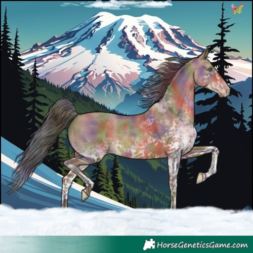 Horse Color:Nacre White Spotted Sable Champagne Tobiano Rabicano 