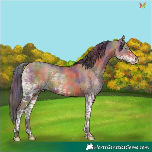 Horse Color:Nacre White Spotted Sable Champagne Tobiano Rabicano 
