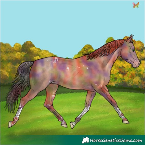 Horse Color:Nacre White Spotted Sable Champagne Tobiano Rabicano 