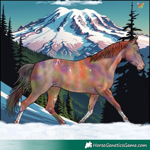 Horse Color:Nacre White Spotted Sable Champagne Tobiano Rabicano 