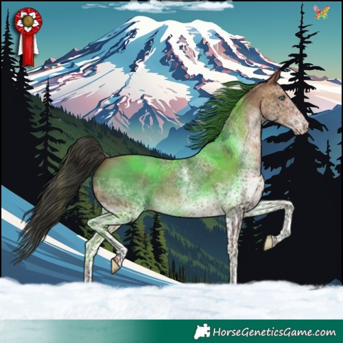 Horse Color:White Spotted Sable Champagne Tobiano Rabicano 
