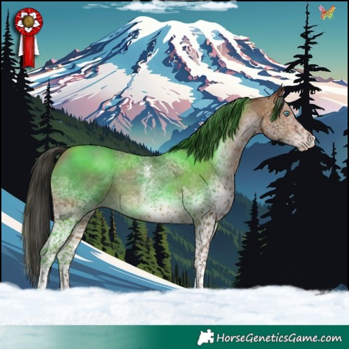 Horse Color:White Spotted Sable Champagne Tobiano Rabicano 