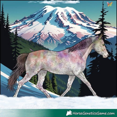 Horse Color:Nacre White Spotted Sable Champagne Tobiano 