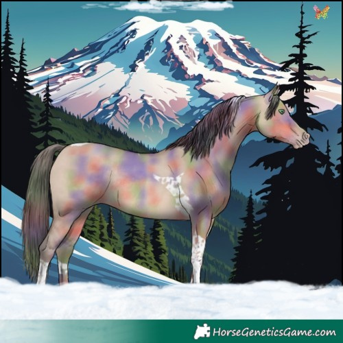 Horse Color:Nacre Sable Champagne Dun Tobiano Rabicano 