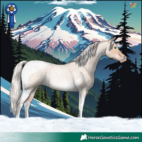 Horse Color:Silver Sable Champagne Roan Dun Tobiano Rabicano 