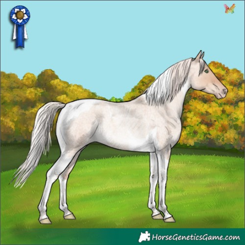 Horse Color:Silver Sable Champagne Roan Dun Tobiano Rabicano 