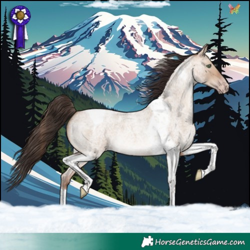 Horse Color:Sable Champagne Roan Dun Tobiano 