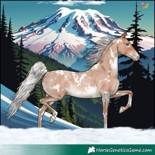 Horse Color:White Spotted Silver Sable Champagne Roan 