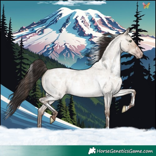 Horse Color:White Spotted Sable Champagne Roan Dun Rabicano 