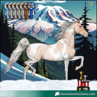 Horse Color:Silver Amber Champagne Roan Tobiano Rabicano 