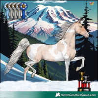 Horse Color:Silver Amber Champagne Roan Tobiano Rabicano 