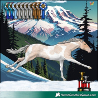 Horse Color:Silver Amber Champagne Roan Tobiano Rabicano 