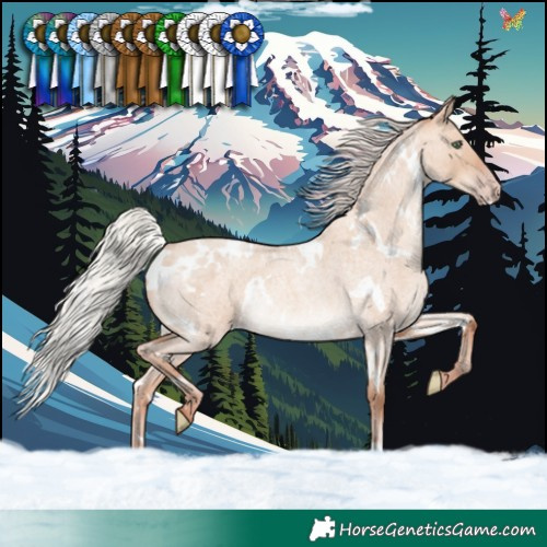 Horse Color:White Spotted Silver Sable Champagne Roan Dun Rabicano 