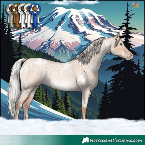Horse Color:White Spotted Silver Sable Champagne Roan Dun Rabicano 