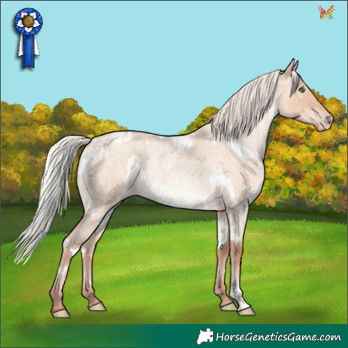 Horse Color:White Spotted Silver Sable Champagne Roan Dun Rabicano 