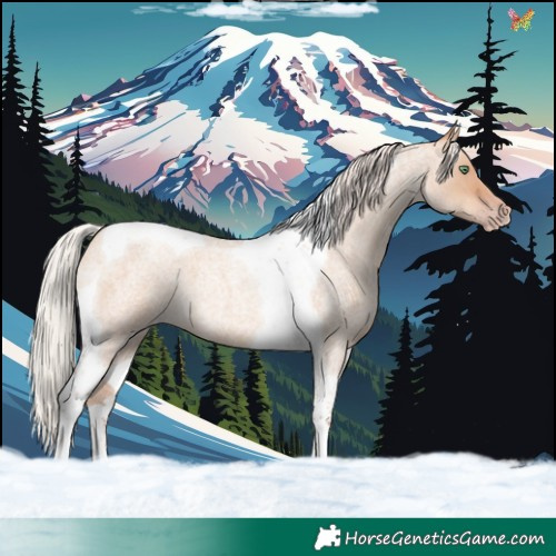 Horse Color:Silver Sable Champagne Roan Dun Tobiano 
