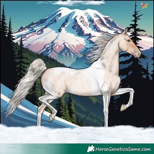 Horse Color:Silver Sable Champagne Roan Dun Tobiano 