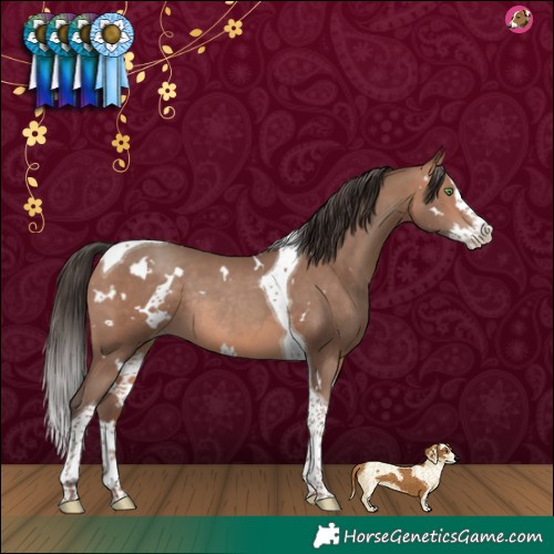 Horse Color:White Spotted Amber Champagne Splash Tobiano Rabicano 