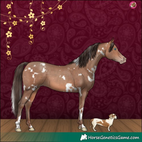 Horse Color:White Spotted Amber Champagne 