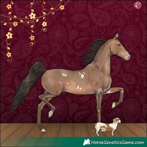 Horse Color:White Spotted Amber Champagne 