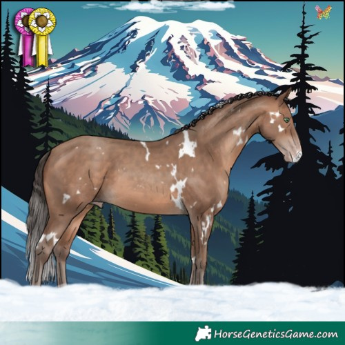 Horse Color:White Spotted Sable Champagne 