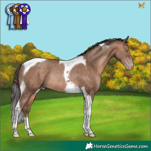 Horse Color:Sable Champagne Tobiano Rabicano 