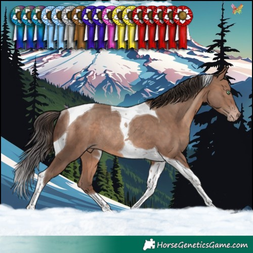 Horse Color:Sable Champagne Tobiano Rabicano 