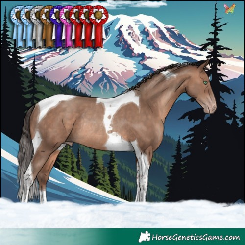 Horse Color:Sable Champagne Tobiano Rabicano 