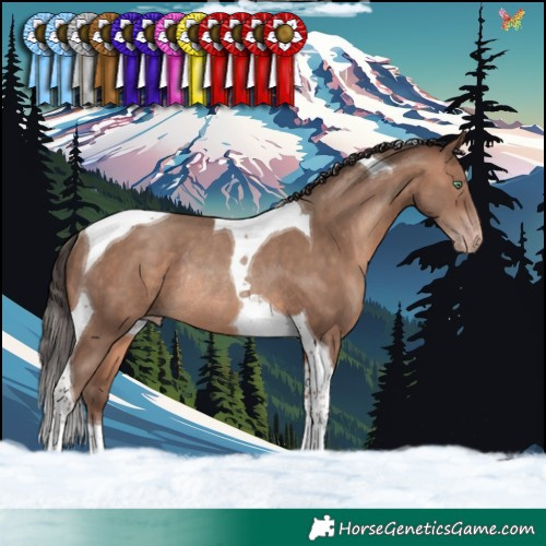 Horse Color:Sable Champagne Tobiano Rabicano 