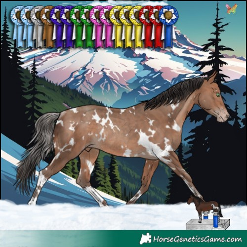 Horse Color:White Spotted Sable Champagne Rabicano 
