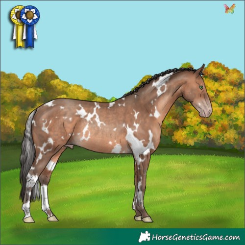 Horse Color:White Spotted Sable Champagne Rabicano 