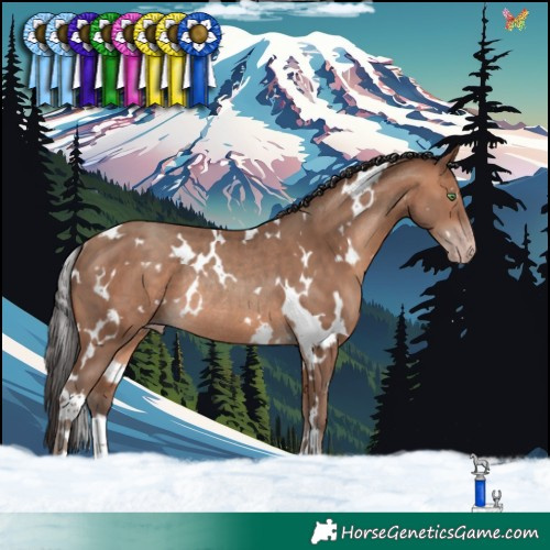 Horse Color:White Spotted Sable Champagne Rabicano 