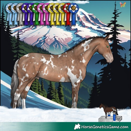 Horse Color:White Spotted Sable Champagne Rabicano 