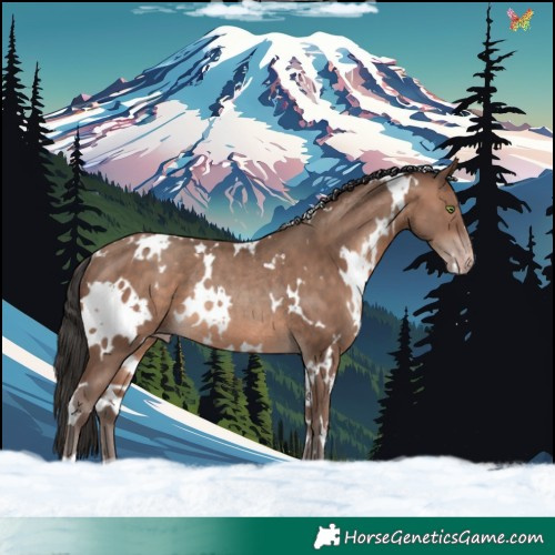 Horse Color:White Spotted Sable Champagne Rabicano 