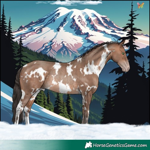 Horse Color:White Spotted Sable Champagne Rabicano 