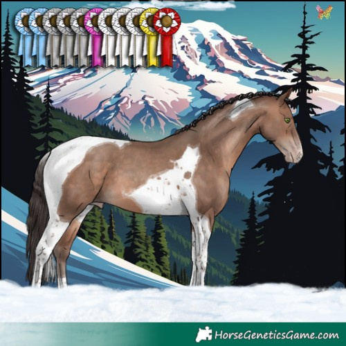 Horse Color:Sable Champagne Tobiano 