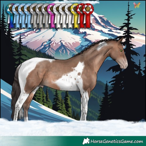 Horse Color:Sable Champagne Tobiano 