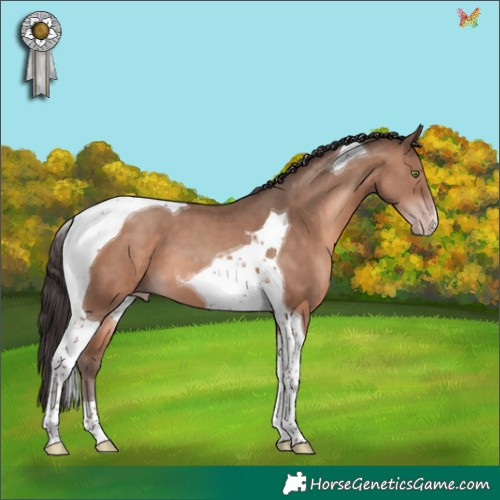 Horse Color:Sable Champagne Tobiano 
