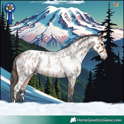Horse Color:White Spotted Bay Roan Appaloosa Rabicano 
