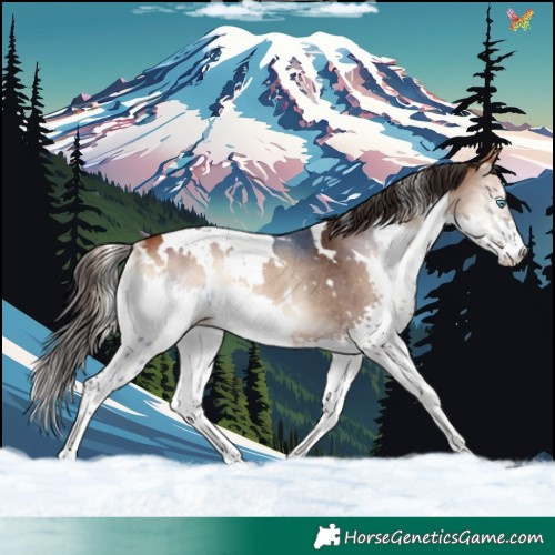 Horse Color:White Spotted Bay Onyx Splash Rabicano 